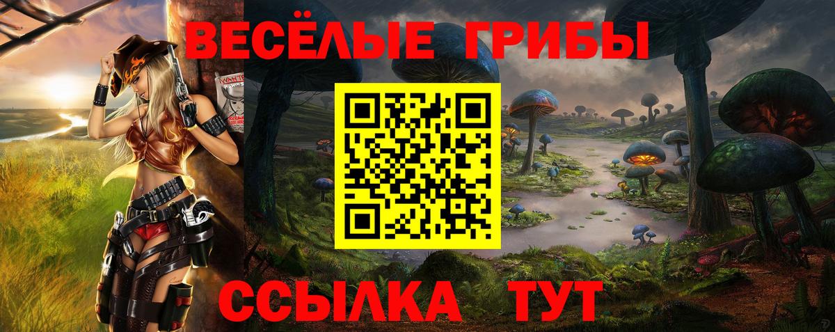Псилоцибиновые грибы прущие грибы Невинномысск